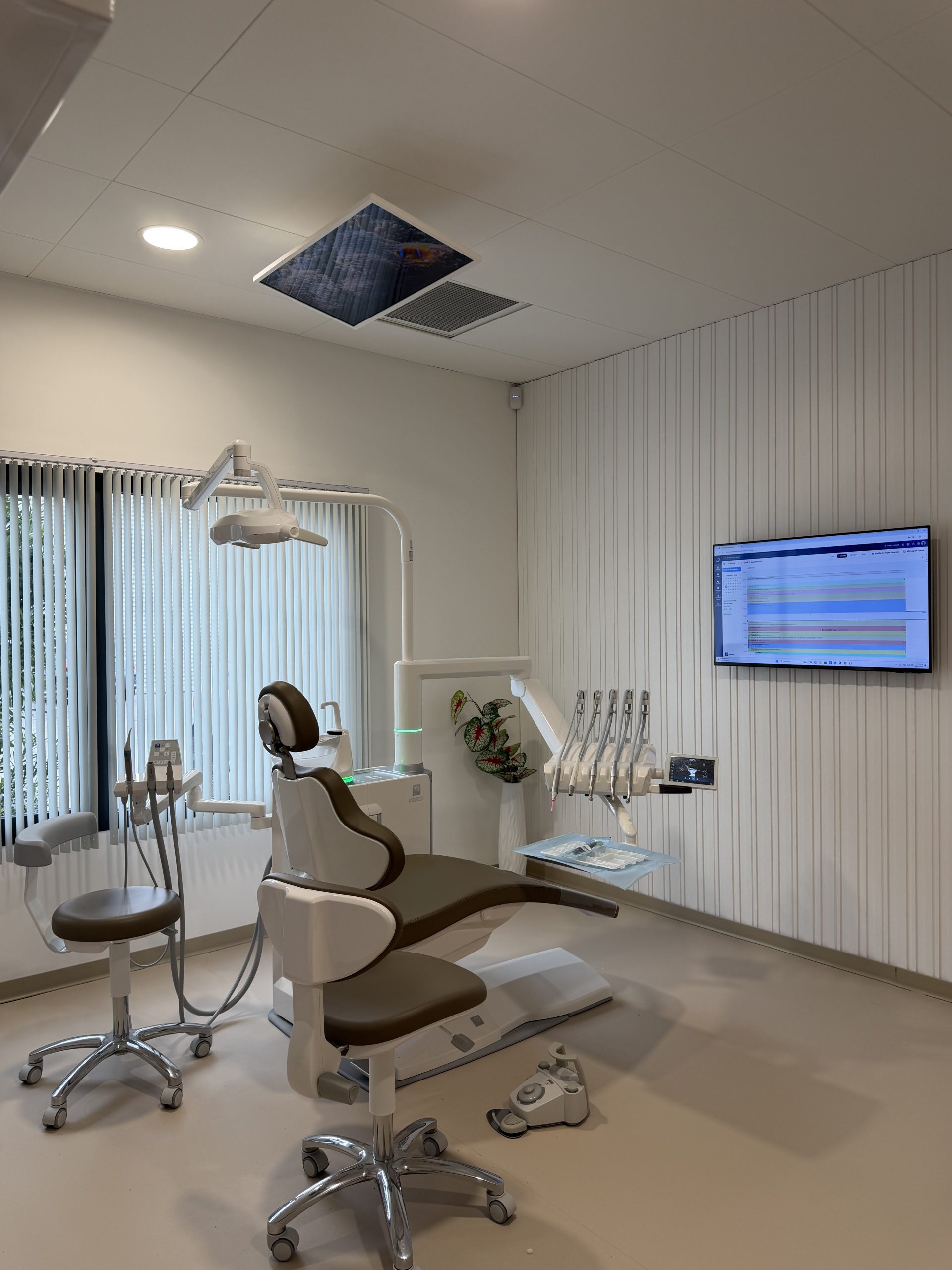 cabinet sourire du canigou saleilles